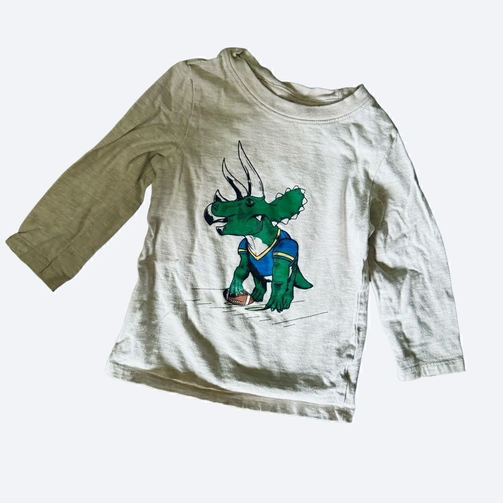 Cat & Jack Gray Dinosaur Graphic Long Sleeve T-shirt Size 2T